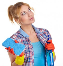 Welche Mittel helfen, den Schimmel zu entfernen? Welche Mittel helfen, den Schimmel zu entfernen?